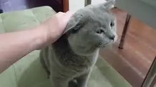 Только, что поели и вот опять!