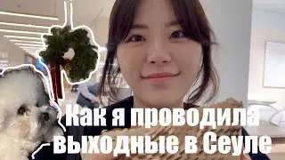 Корея влог. Предсказание от гадалки! Рождество в Корее🎄
