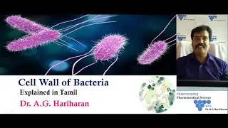Cell Wall of Bacteria Explained in Tamil