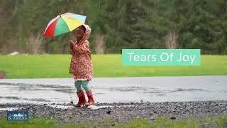 Protection Your Joy and Optimisim