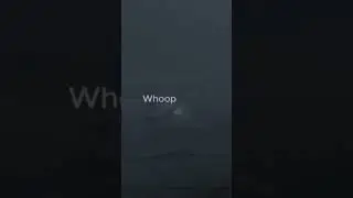 Crashing right before landing - last words of Delta 191 