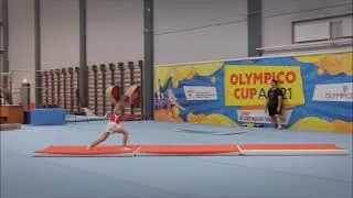вольные.спортивная гимнастика.
