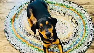 Making a Jelly Roll Rug by R.J. Designs