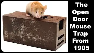 Catching Mice With A 118 Year Old Mouse Trap. The "OPEN DOOR MOUSE TRAP" Mousetrap Monday
