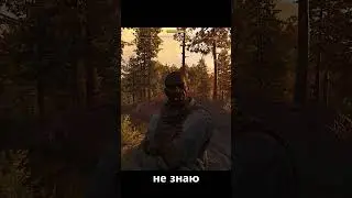 Что такое ромашка?