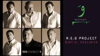 REG Project - 03 Bint El Shalabiya