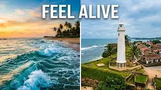Go Where You Feel Most Alive : 🇱🇰 | Cinematic Travel Film