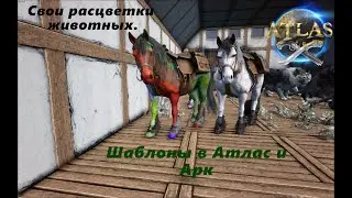 Как создать шаблон для раскраски животных в Atlas.