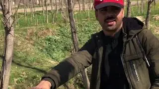go to safe zone for shooting
