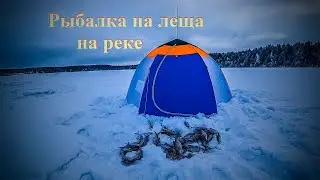 Рыбалка на леща на реке//Fishing for bream on the river