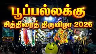 ஆனந்தராயர் பூப்பல்லக்கு | பத்தாம் நாள் வீதி உலா | 28.04.2026 | மீனாட்சி சித்திரைத் திருவிழா