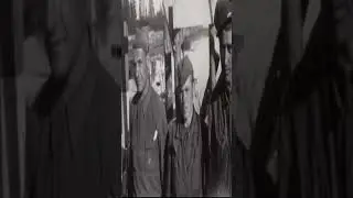 Бобруйский бунт 1945 Что это было?