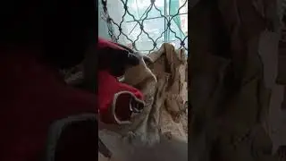 Историческая монтажная пена