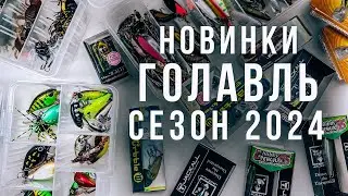 NEWS / Chub / SEASON 2024