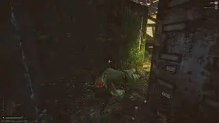 Slug to the head