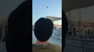 Visit to Madinah alhamdulillah / #umrah#madinah#tour