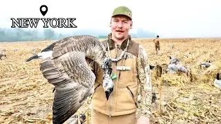 Goose Hunting in New York (CRAZY FOG)