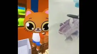 #симба #тигра #булли симбочка