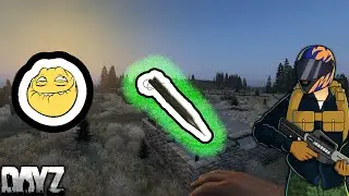 I set a tripwire and waited 69 minutes for this...