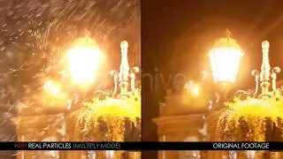 Real Particles Bundle 2 (Heavy Particles)