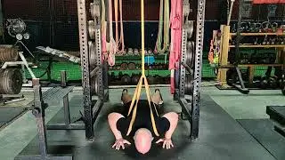 Band Assisted Plyo Push-up
