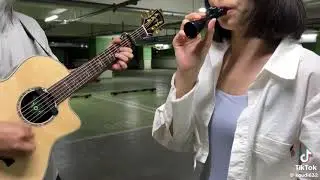 Betsy kazoo - the final countdown 