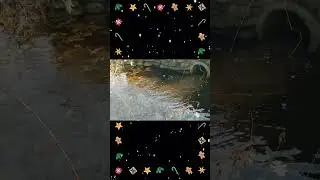 Culvert Unblocking