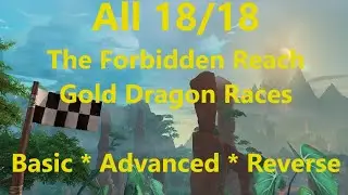All 18 The Forbidden Reach Gold Dragon Races | WoW Dragonflight 10.0.5