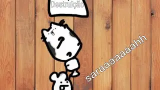 SARAH a minha gata!