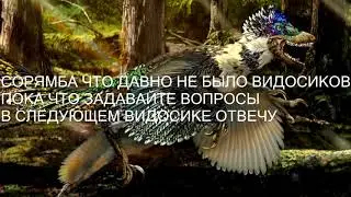 задавайте вопросы:/