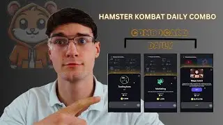 Hamster Kombat Daily Combo Beginners Guide 2024