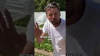 Plants tell you about their health #shorts
