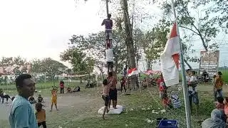 panjat pinang