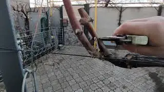 Осенняя обрезка винограда. Сорт 