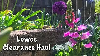 Lowes Clearance Haul: Plant with Me
