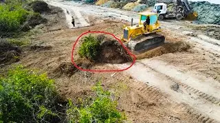 Awesome Strong Clearing Forest And Soil Bulldozer In Widening Land Along The Lake