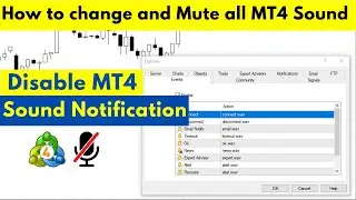 Disable all sound notification in MT4 | Disable Sound