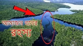 Amazon Jungle | Amazon Forest History (Bangla) | The Amazon Rainforest