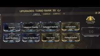 Warframe - 6 minutes Solo Netracell: Torid Incarnon (no Riven)