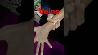 never give up