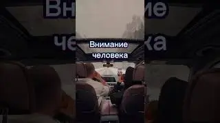 Какие мысли доминируют у вас: позитивные или негативные?