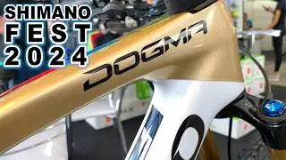 🇧🇷 SHIMANO FEST 2024 ⭐Bikes INSANAS! [4k] #shimanofest #topbikes #pinarello #mtb #ciclismo #bicycle