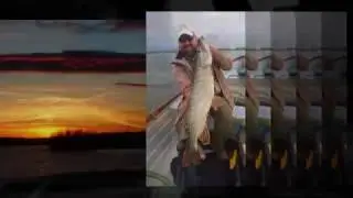 Pike on the fly