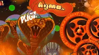 Agma.io Selfeed Assassin | Destruction Edit |