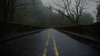 Beat Insomnia: Soothing Cold Frigid Rain Fall Along Quiet Road For Deep Sleep