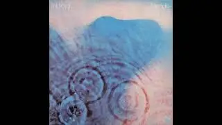 Pink Floyd - Echoes (mostly drums, bass, keys)