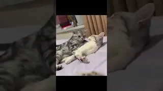 💕 #trending