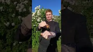 Почувствуй силу удачи