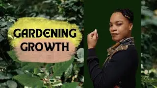 Gardening Challenges