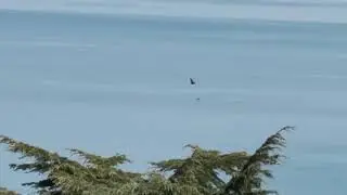 La Natura?...CHE MERAVIGLIA...